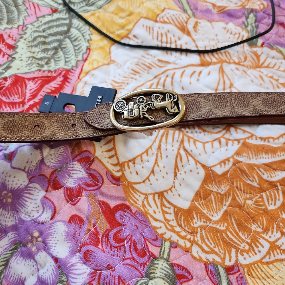 Women small coach signature belt - Picture 5 of 7